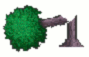 TreeCollapse